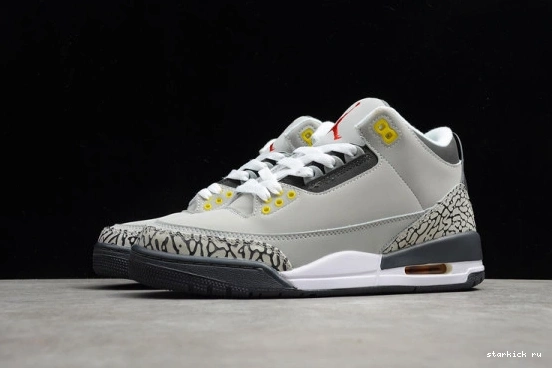 Jordan CT8532-012 (2021) Cool Grey Retro CT8532-012 3 AIR 0106